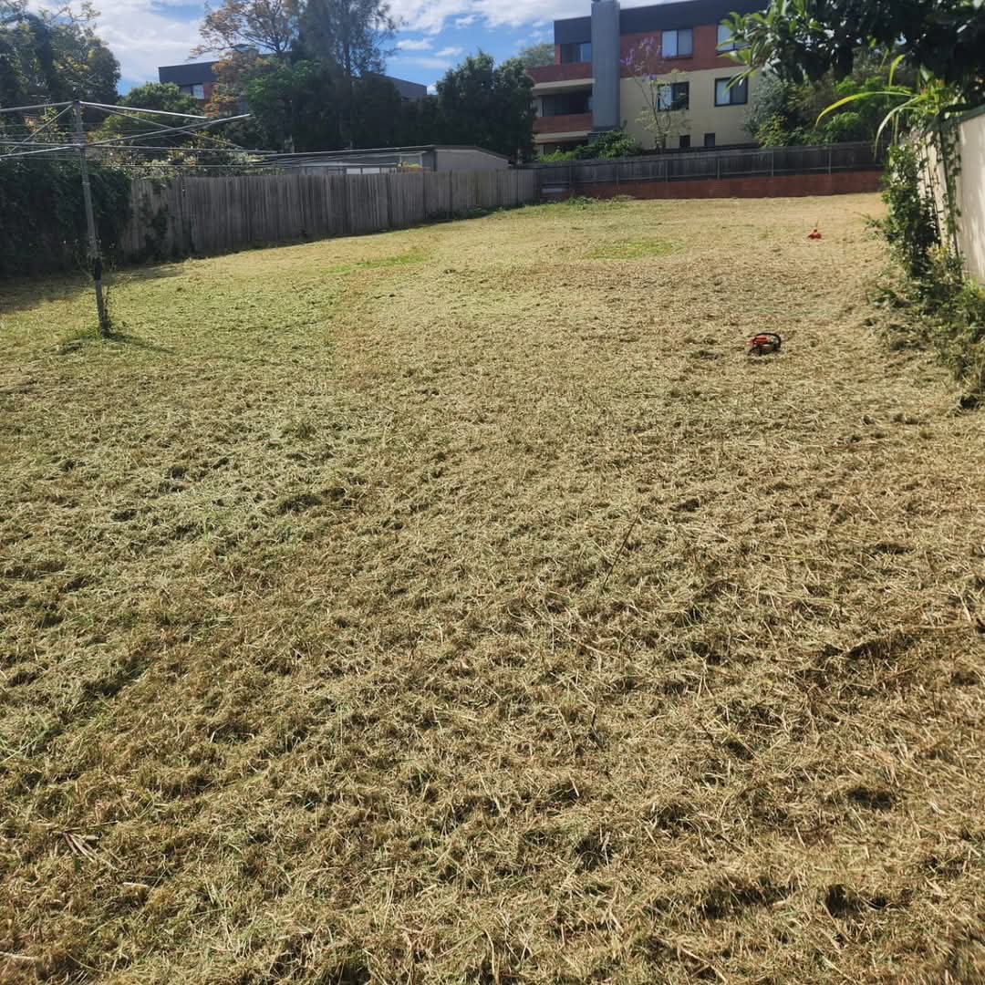 Site Clearing & Lawn Restoration